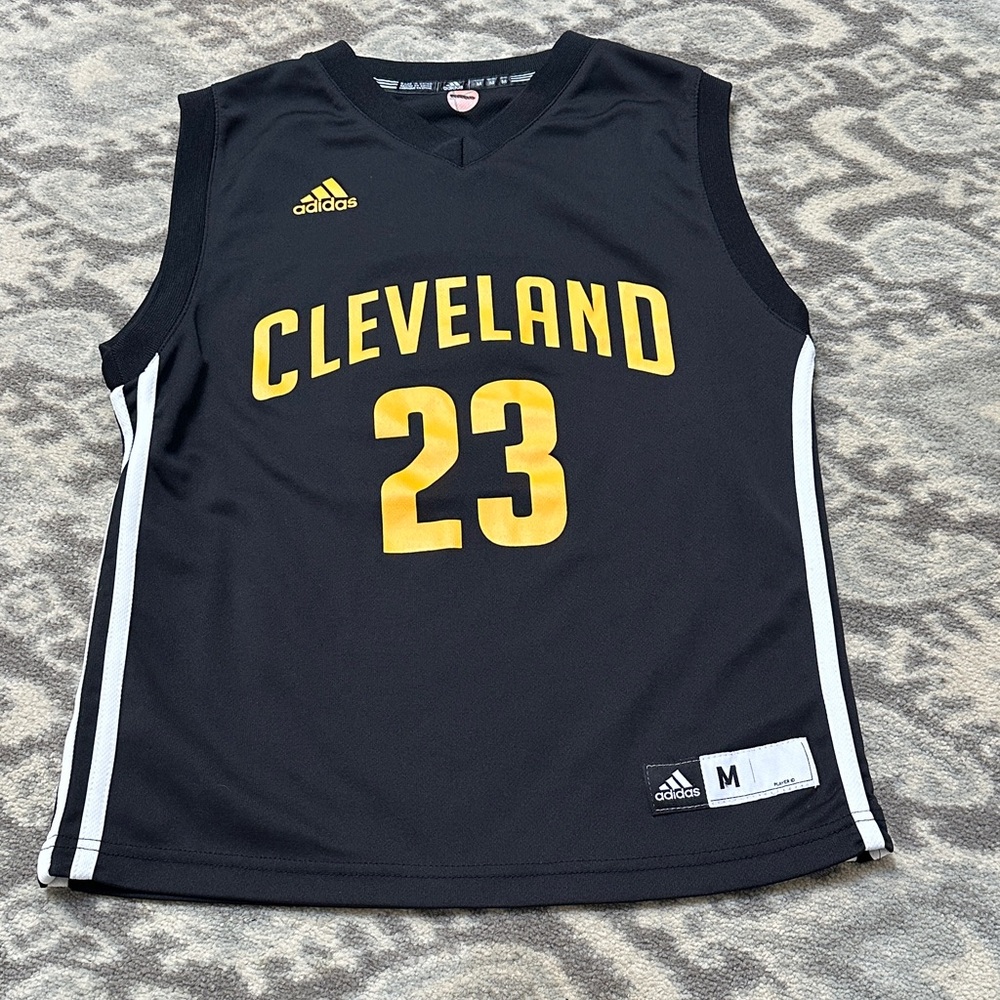 James #23 Cleveland Pro Basketball Kids Adidas Jersey
